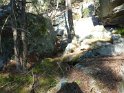 2014-07-03 10-15-54 Rando foret de Nemours FGn